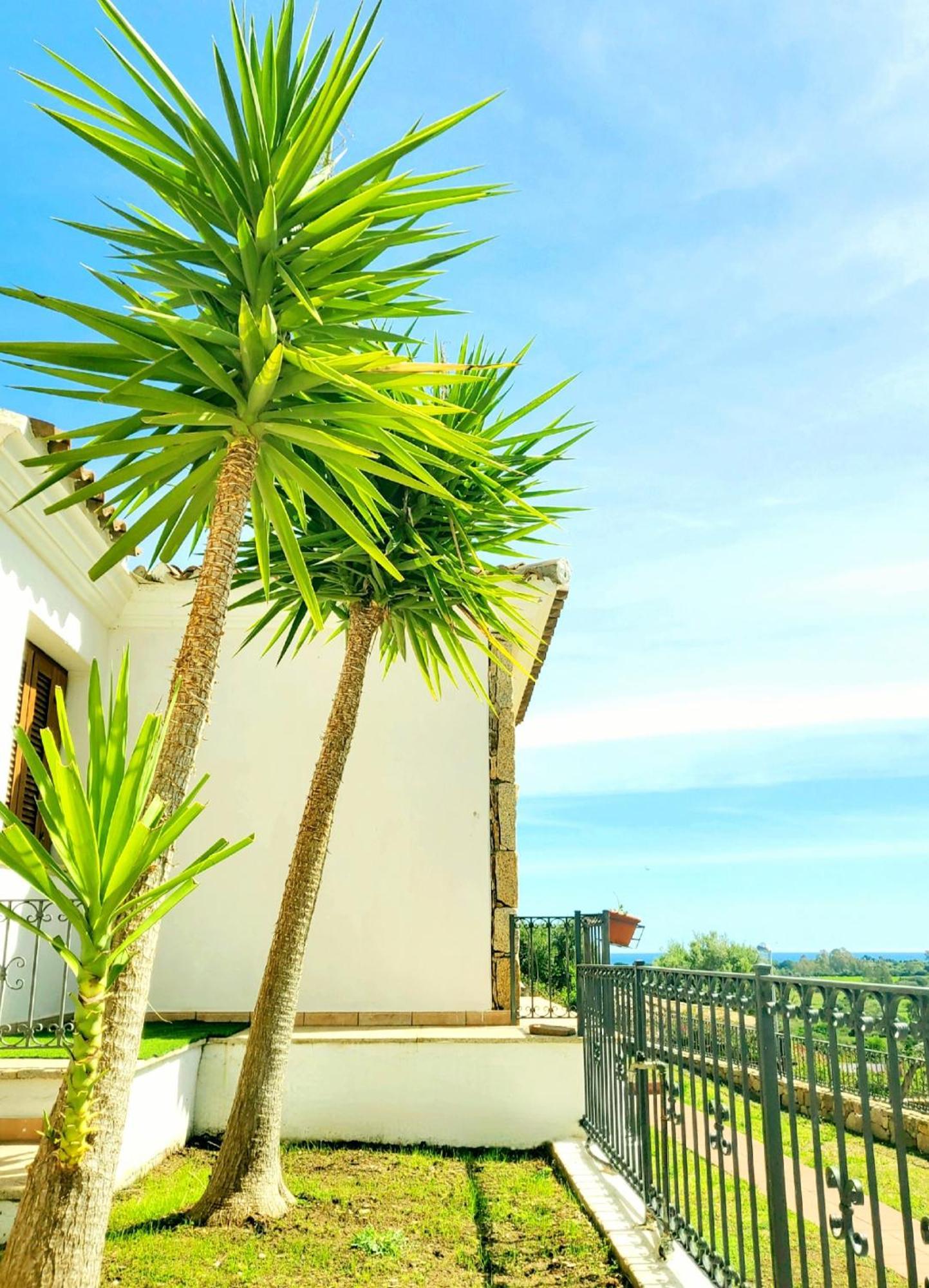 Villa Sorres De Mare à Budoni Extérieur photo