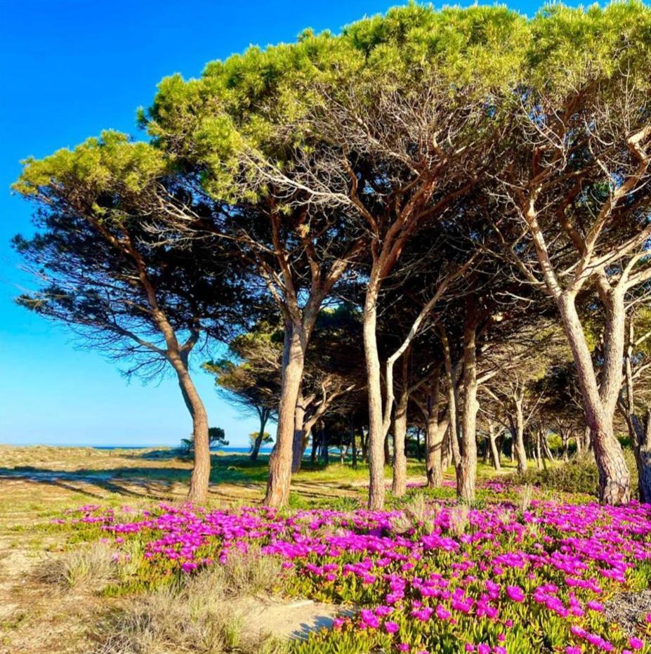 Villa Sorres De Mare à Budoni Extérieur photo